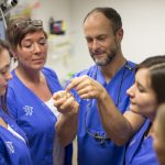 Zahnarztpraxis Gröbenzell